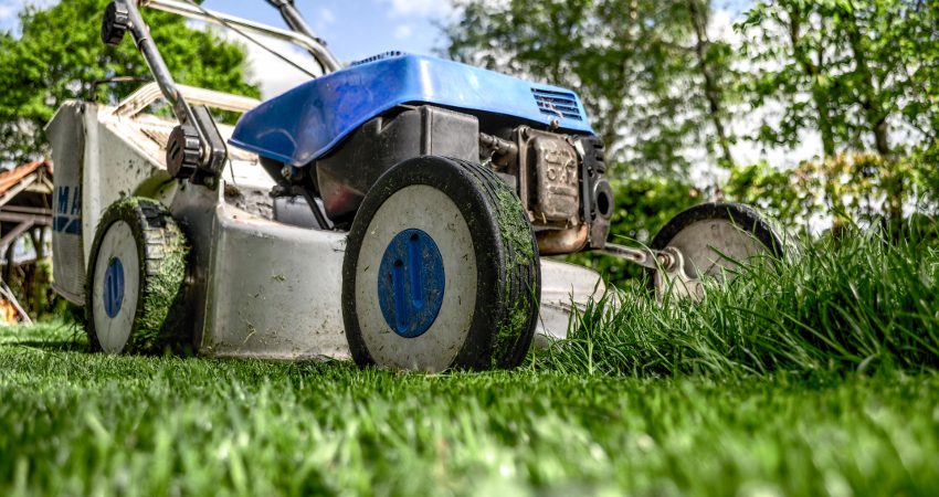 Lawn & Garden Care
