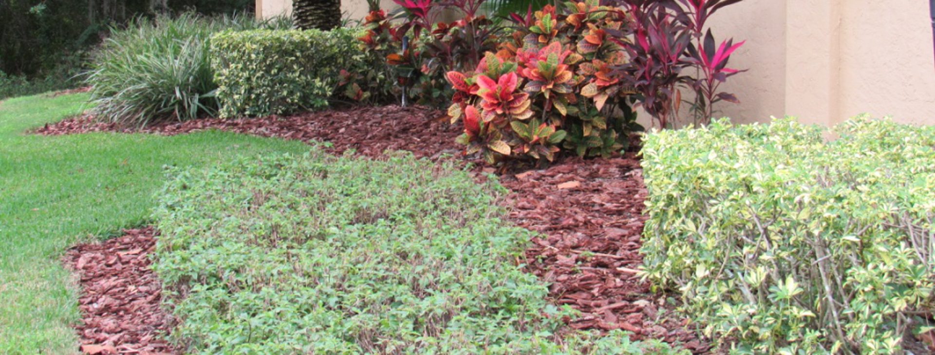 The grass is always greener
on YOUR SIDE